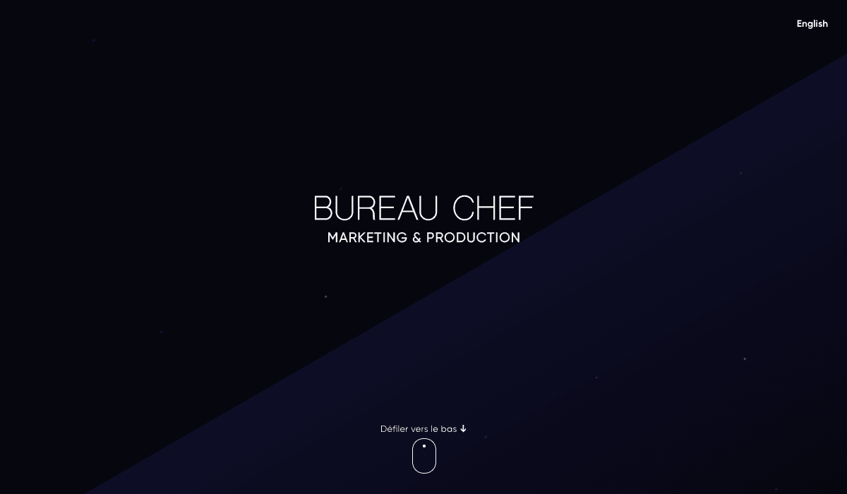Website